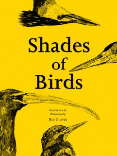 Shades of Birds