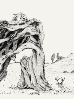 Of trees #1